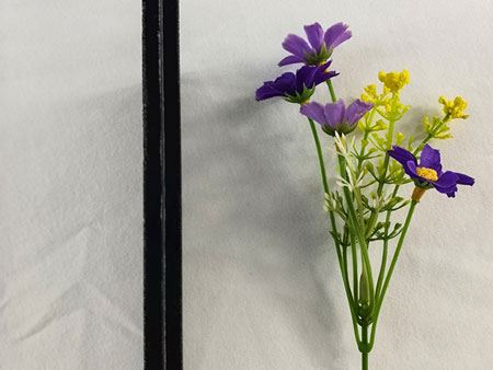 Verre feuilleté coloré